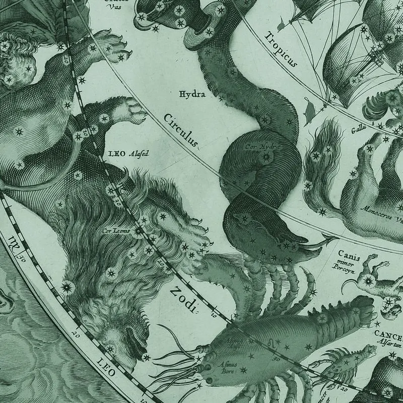 Leo, Hydra and Cancer engraved on the southern celestial hemisphere, from Andreas Cellarius, Harmonia Macrocosmica, 1660